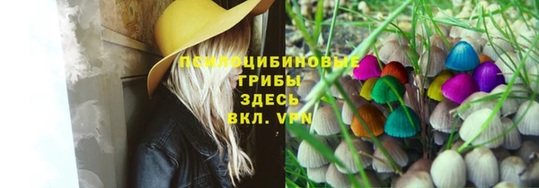 mdma Коряжма